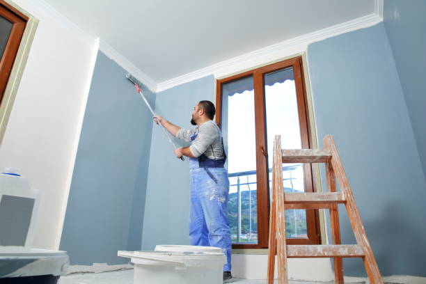 Best Dehumidification Services  in Timnath, CO