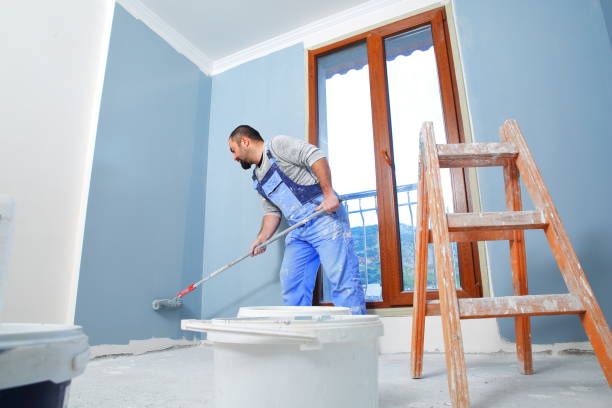 Best Mold Damage Restoration  in Timnath, CO