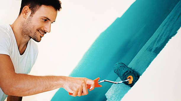 Best Post-Construction Mold Inspection  in Timnath, CO