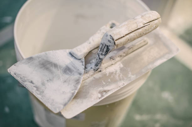 Best Mold Documentation for Insurance Claims  in Timnath, CO